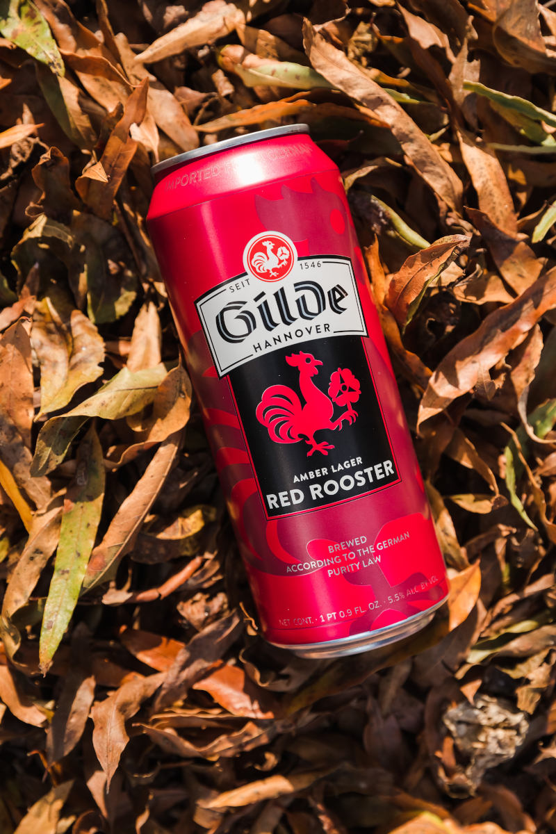 Gilde Red Rooster canned beer in autumn leaves